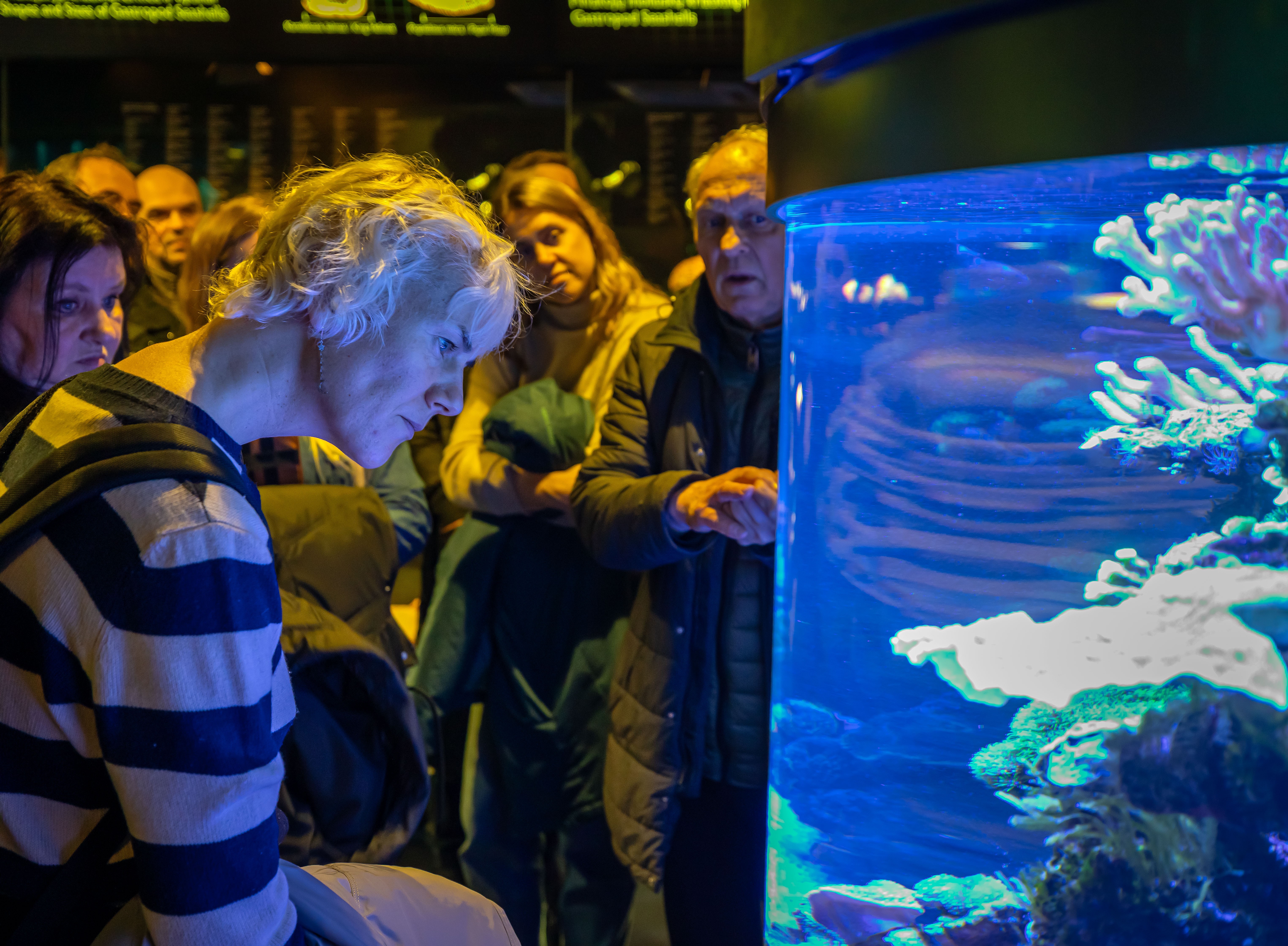 Komandos diena Komandos diena