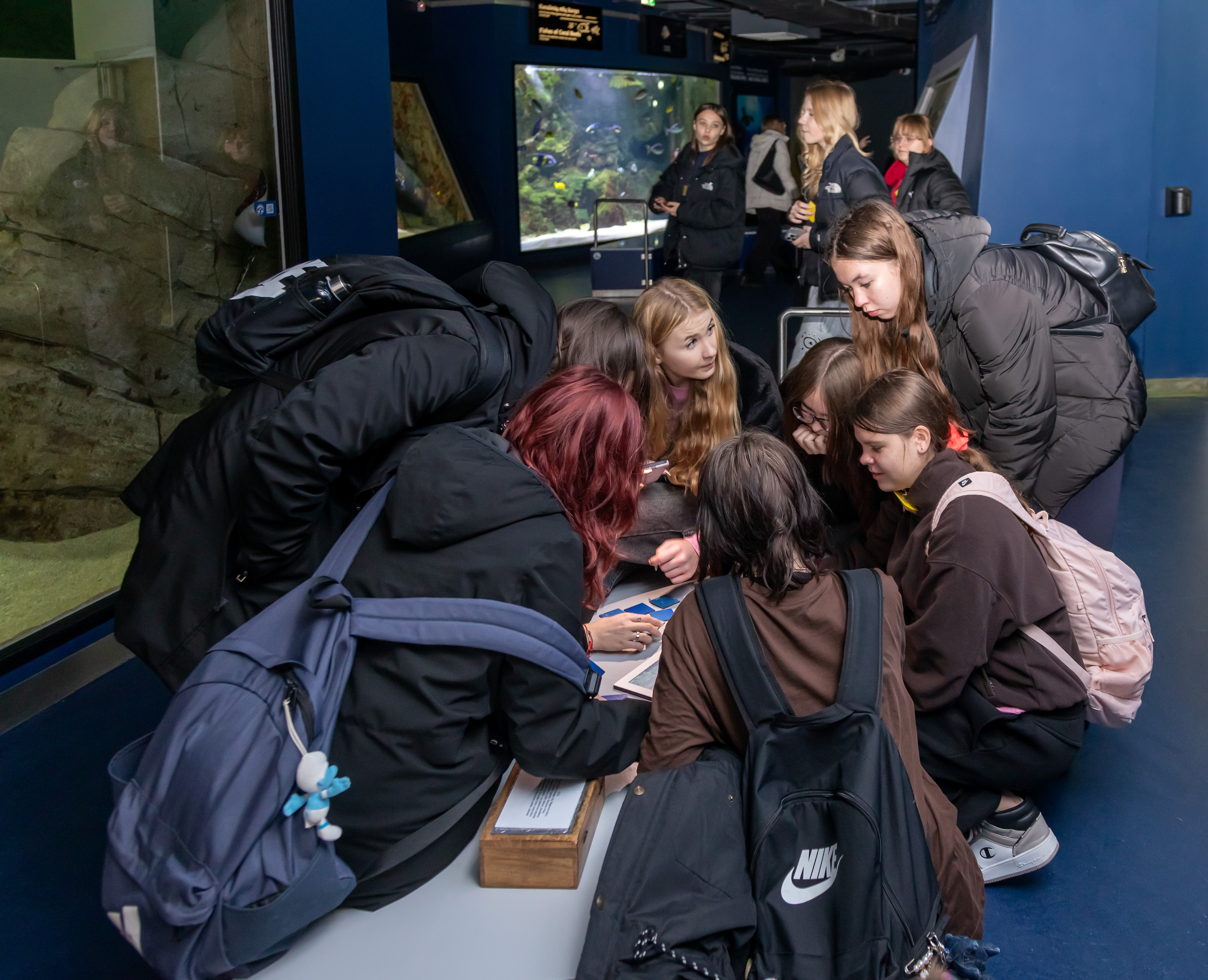 EKO varzybos - Klimato kaitos diena EKO varzybos - Klimato kaitos diena