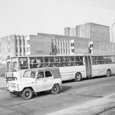 Klaipėdos viešojo transporto autobusas „Ikarus“. Tokio tipo autobusai, pasak A. Každailio, pravažiuodami pro šalį drebindavo vitrinose išstatytus jūrų gamtos eksponatus. 1982 m., nuotraukos autorius B. Aleknavičius. Klaipėdos apskrities Ievos Simonaitytės viešoji biblioteka