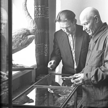 Kraštotyrininkas Vytautas Kaltenis (kairėje) Klaipėdos kraštotyros muziejaus gamtos skyriaus ekspozicijoje, 1964 m. Nuotraukos autorius Bernardas Aleknavičius. Klaipėdos apskrities Ievos Simonaitytės viešoji biblioteka