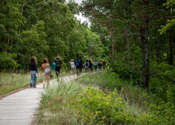 Gamtos festivalis Smiltynėje