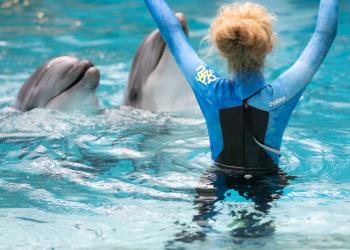 Delfinų terapija