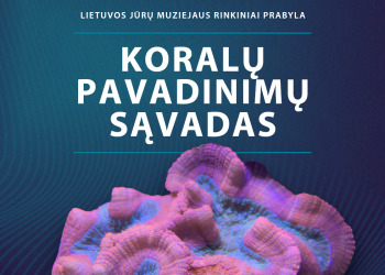 Koralų pavadinimų sąvadas